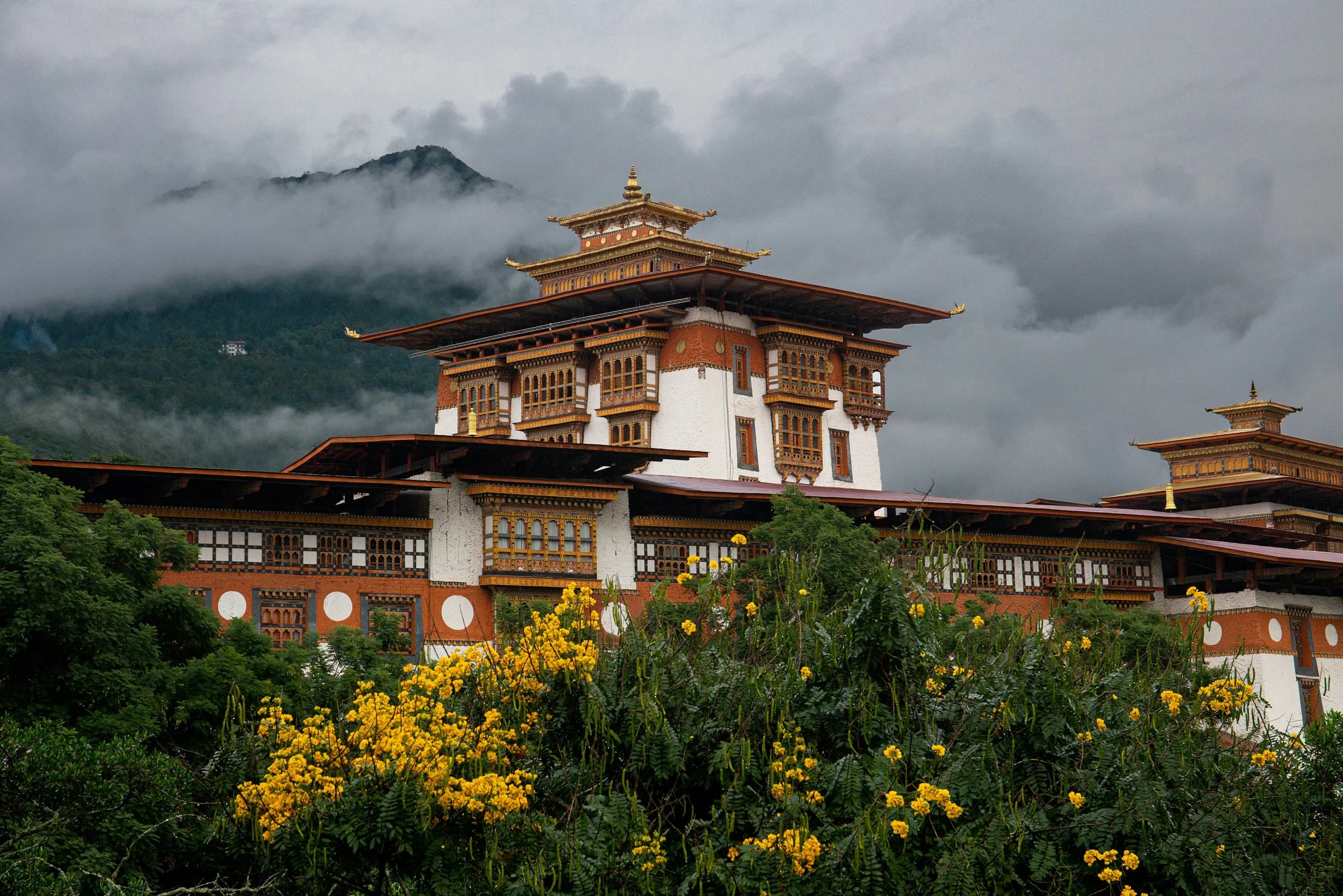 Punakha & Gangtey Valley Luxury Tour