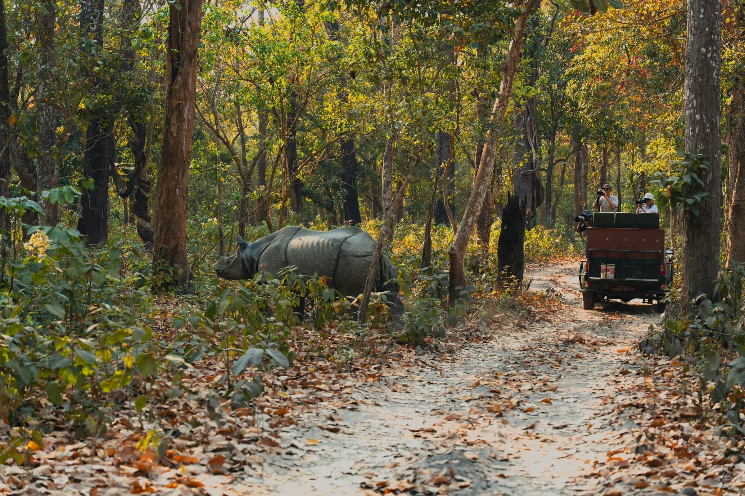 Lowland forest and grassland in Chitwan, southern Nepal